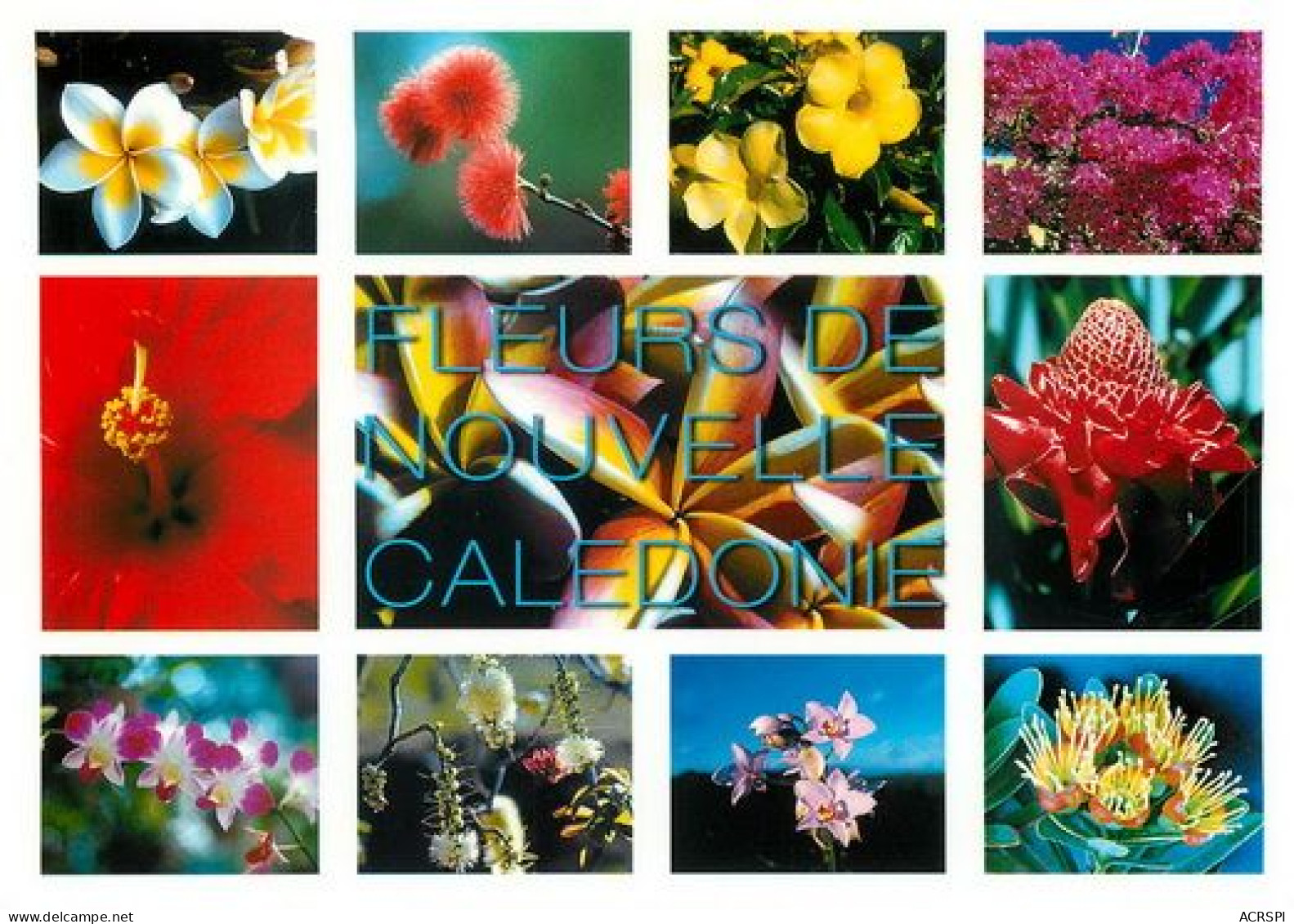 Fleurs De NOUVELLE CALEDONIE   32   (scan Recto-verso)MA2064Bis - Nouvelle Calédonie