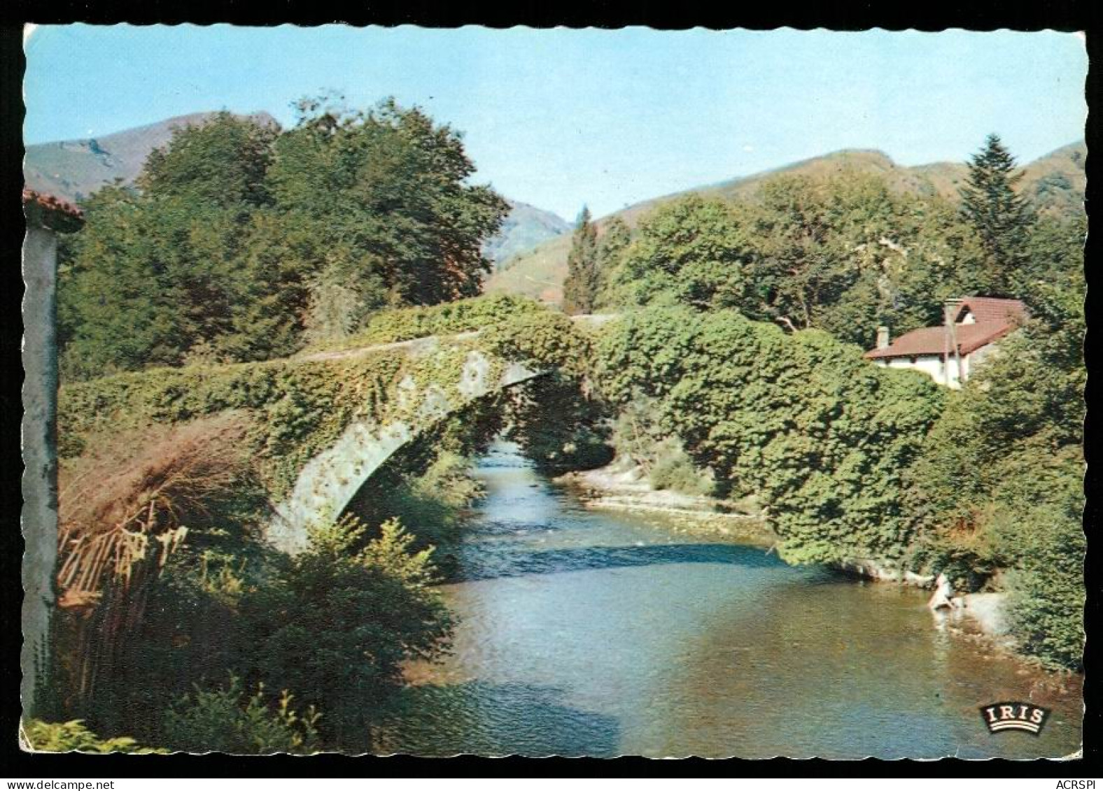 SAINT ETIENNE DE BAIGORRY  Le Vieux Pont Sur La Nive édition IRIS - Saint Etienne De Baigorry