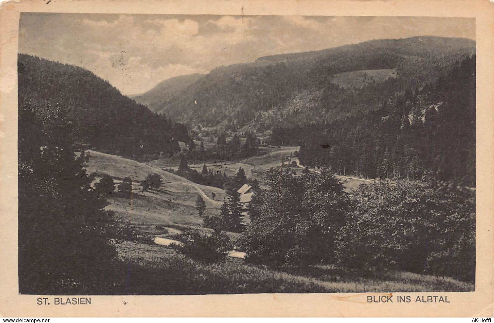 ST. BLASIEN - BLICK INS ALBTAL - St. Blasien