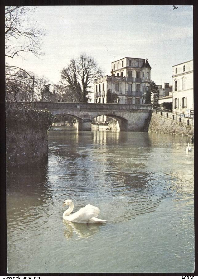 Un Cygne Sur Les Bords De La SEUGNE édition De L'europe Carte Rare - Jonzac