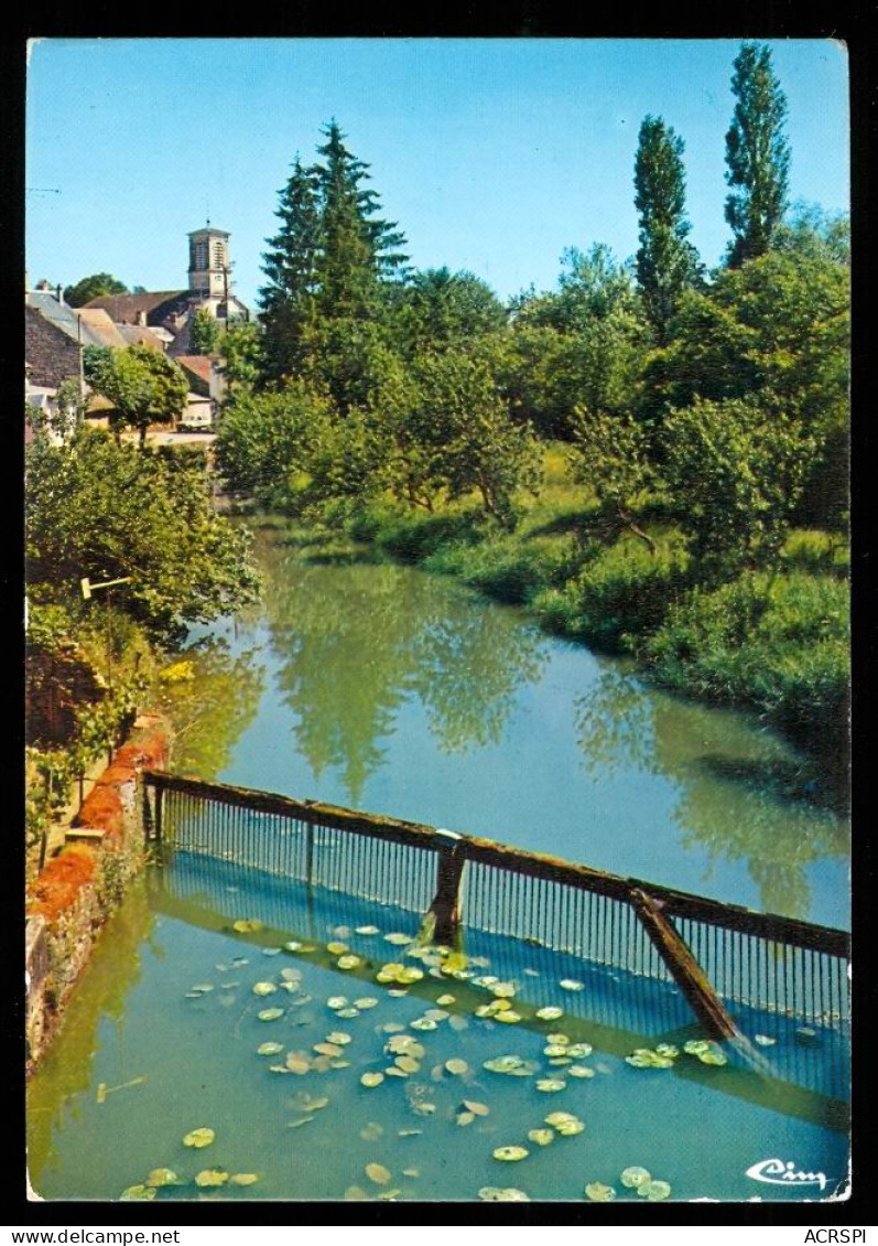 L'ISLE SUR SEREIN Les Rives Du Serein Vers L'église édition Cim Carte Rare - L'Isle Sur Serein