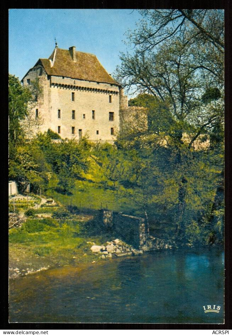 PONTARION  Le Chateau Dominant La Rivière édition Théojac Carte Rare - Pontarion