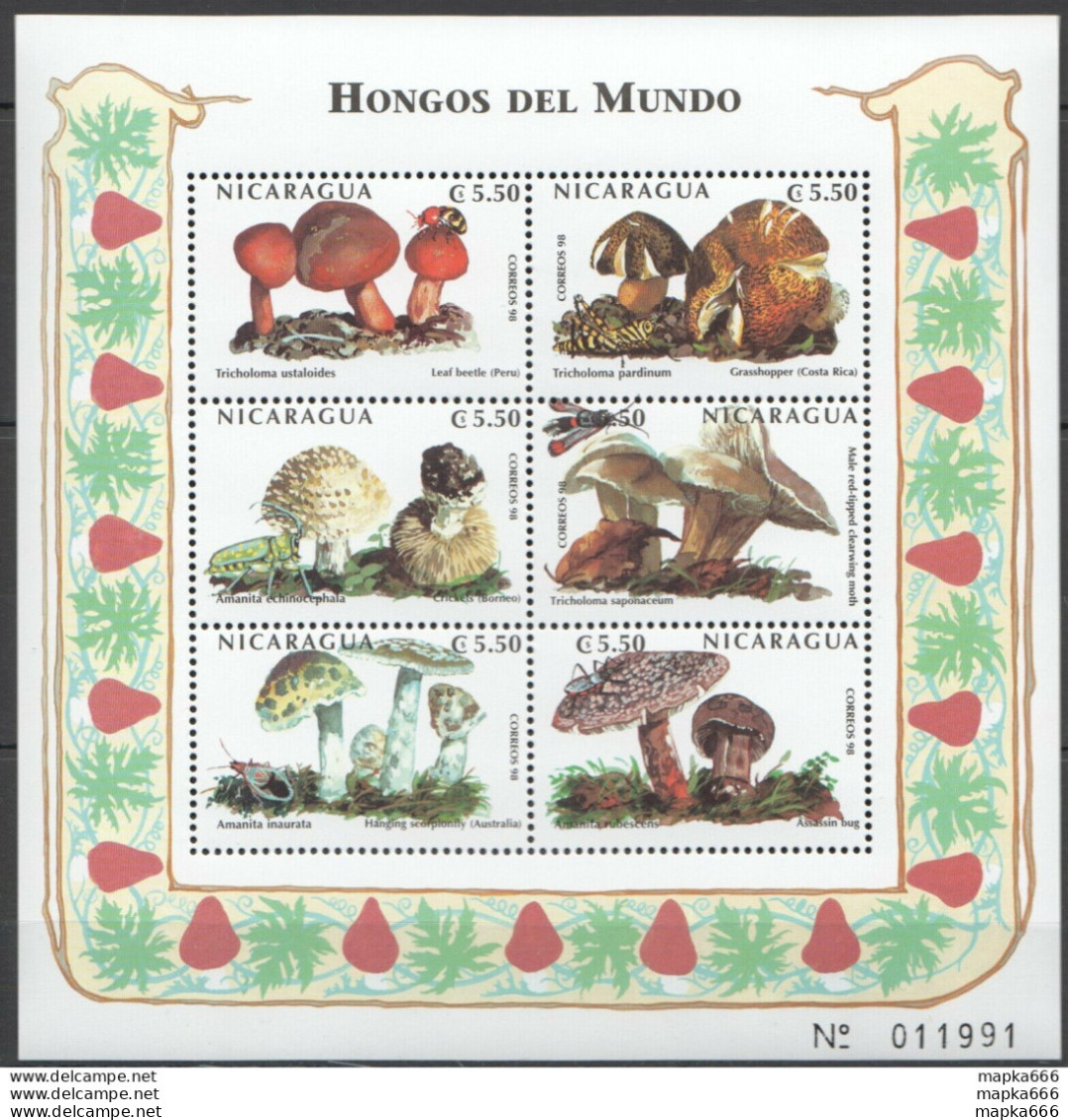 Pk269 Nicaragua Flora Nature Mushrooms Kb Mnh Stamps - Funghi