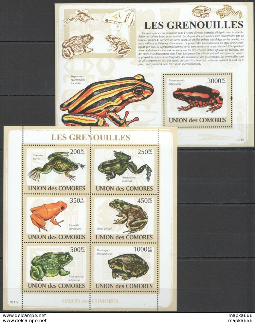 Uc053 2009 Comoros Fauna Reptilies Frogs Grenouilles Amphibia Kb+Bl Mnh - Sonstige & Ohne Zuordnung