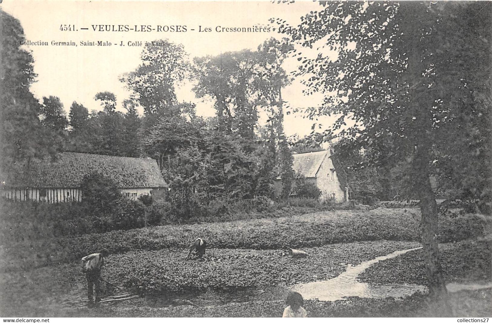 76-VEULES-LES-ROSES- LES CRESSONNIERES - Veules Les Roses