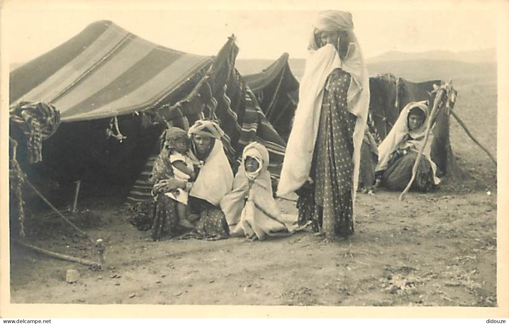 Algérie - Batna - Campement D'une Famille Arabe De La Région De Batna - Animée - Carte Photo - CPA - Voir Scans Recto-Ve - Batna