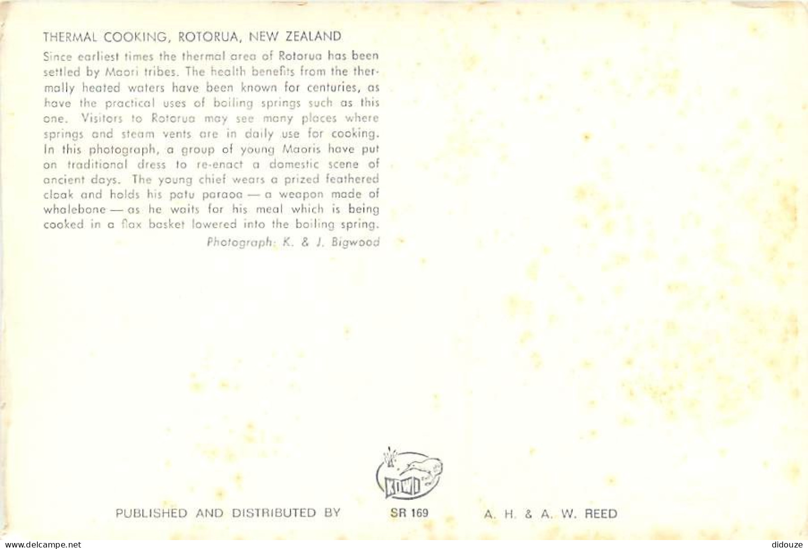 Nouvelle Zélande - New Zealand - Rotorua - Thermal Cooking - Femmes D'une Tribu Maori - CPM - Voir Scans Recto-Verso - Neuseeland