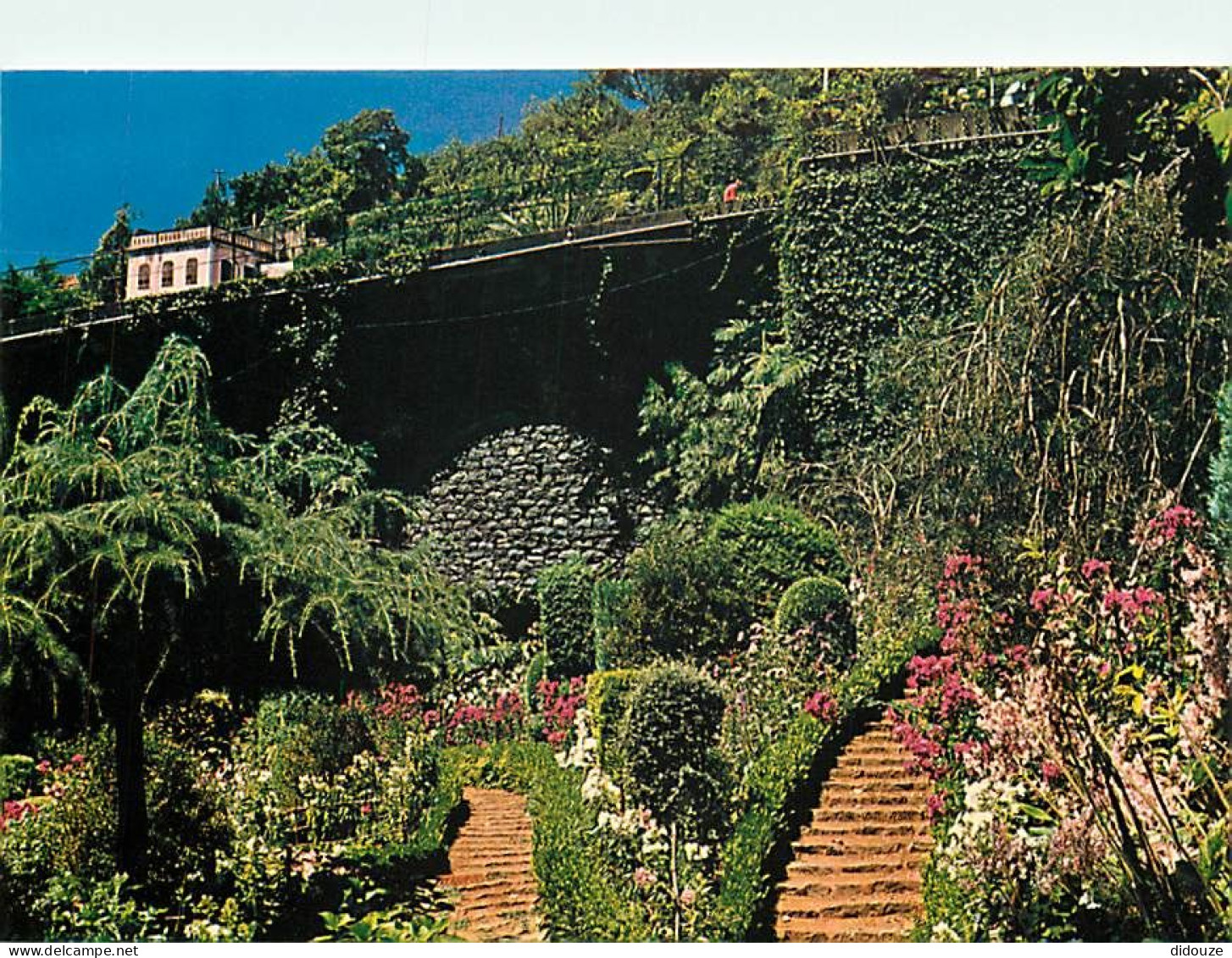 Portugal - Madeira - Monte - Jardim - Jardin - CPM - Carte Neuve - Voir Scans Recto-Verso - Madeira