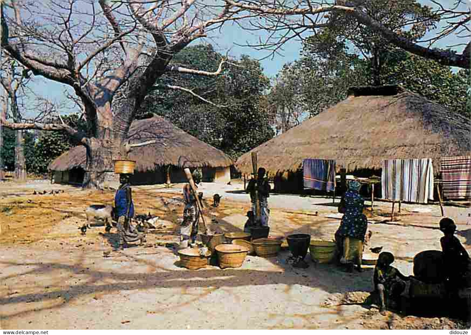 Sénégal - Casamance - CPM - Voir Scans Recto-Verso - Sénégal