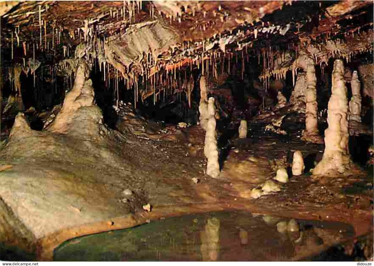 46 - Grottes De Lacave - Les Cierges - CPM - Voir Scans Recto-Verso - Lacave