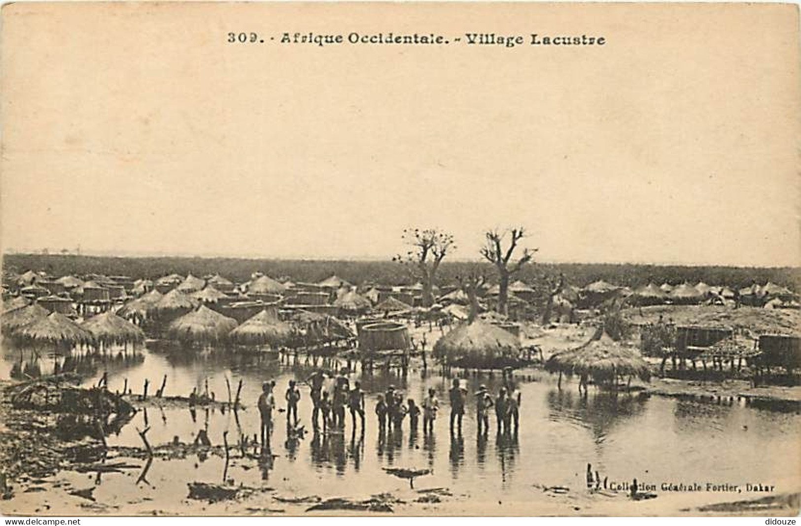 Pays - Sénégal - Village Lacustre - Animée - CPA - Voir Scans Recto-Verso - Sénégal