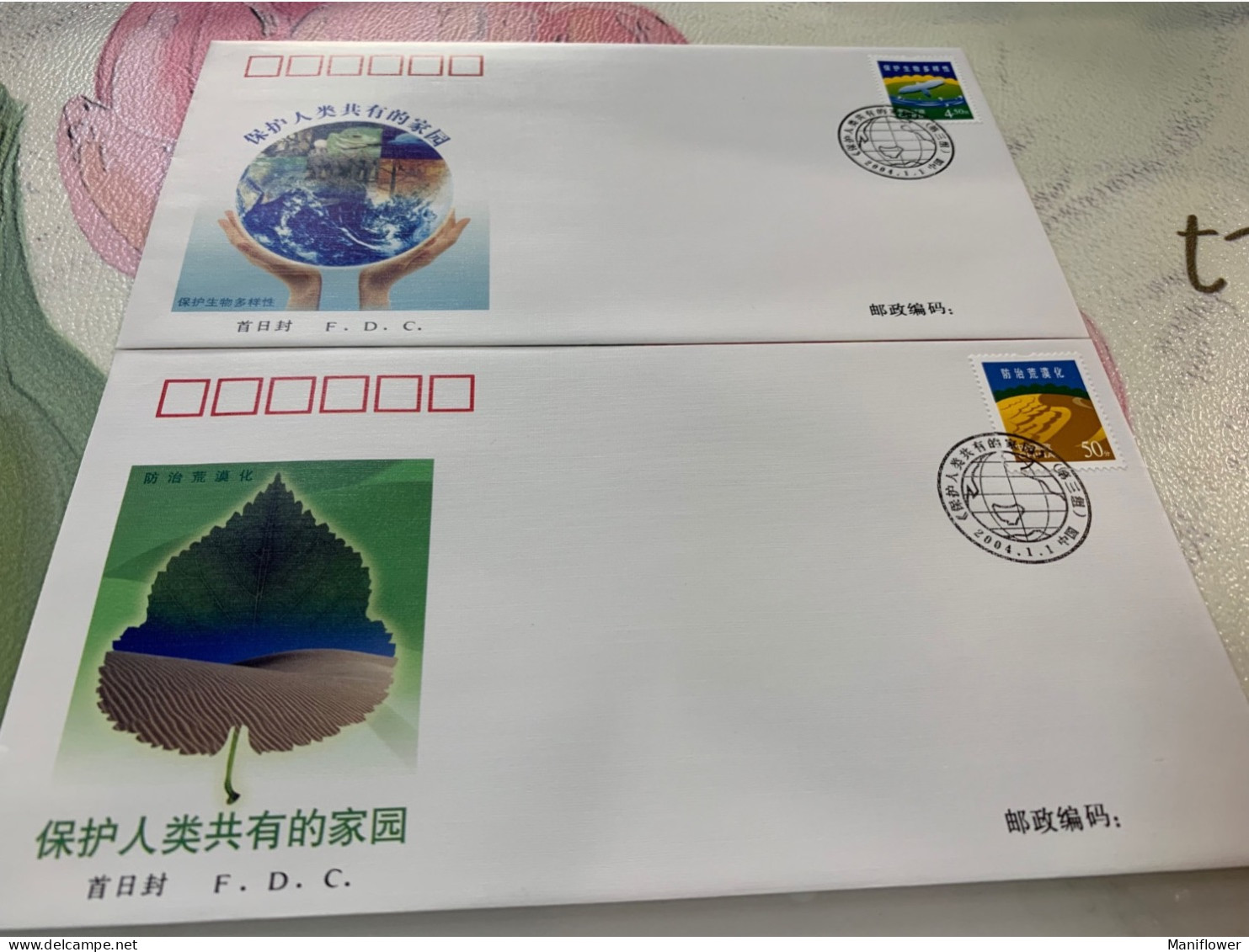 China Stamp FDC 2004 Protecting The Common Homeland Of The Mankind Global Map Frog Elephant - Cartas & Documentos