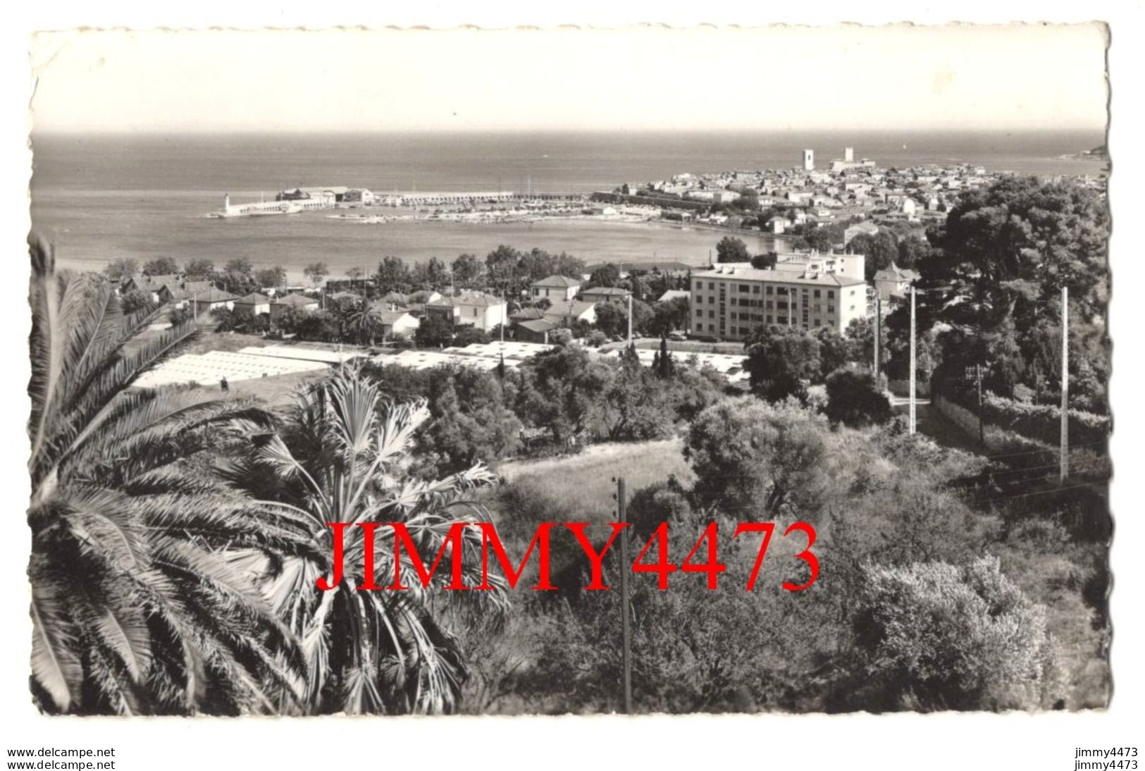 CPSM - ANTIBES En 1962 - Vue Générale - N° CR - 87 - Edit. MAR à Nice - Antibes - Oude Stad