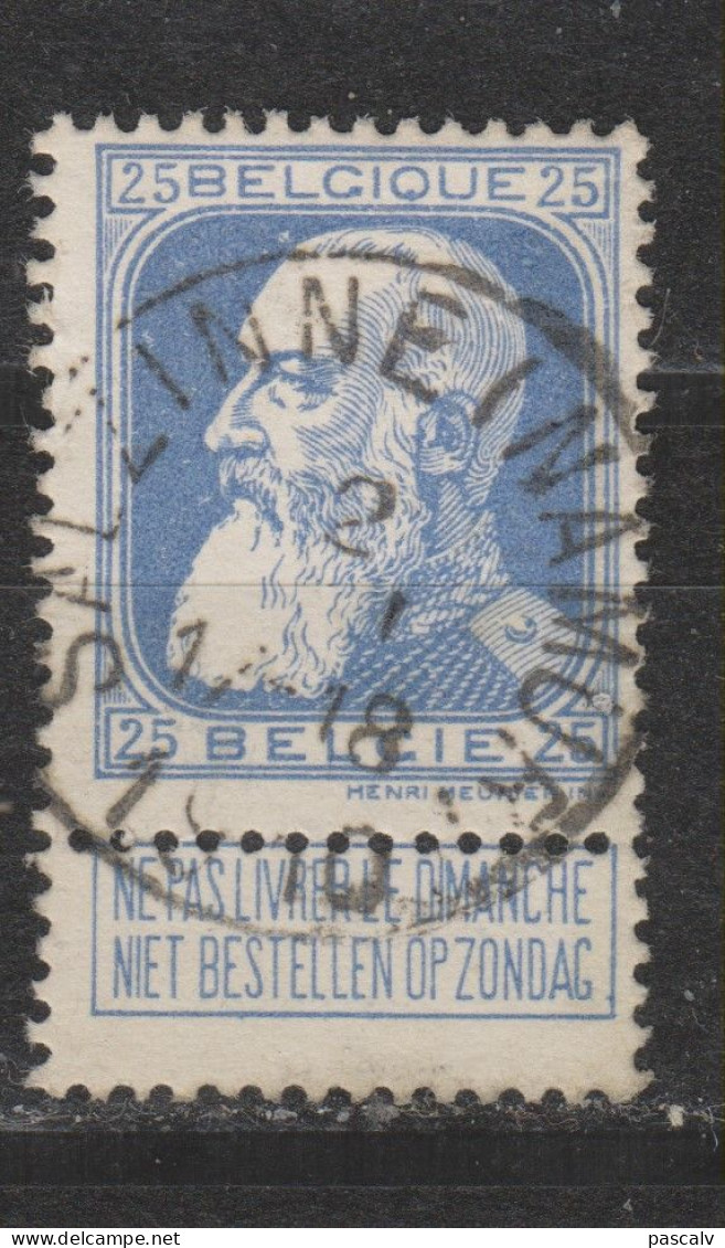 COB 76 Oblitération Centrale SALZINNE (NAMUR) - 1905 Thick Beard