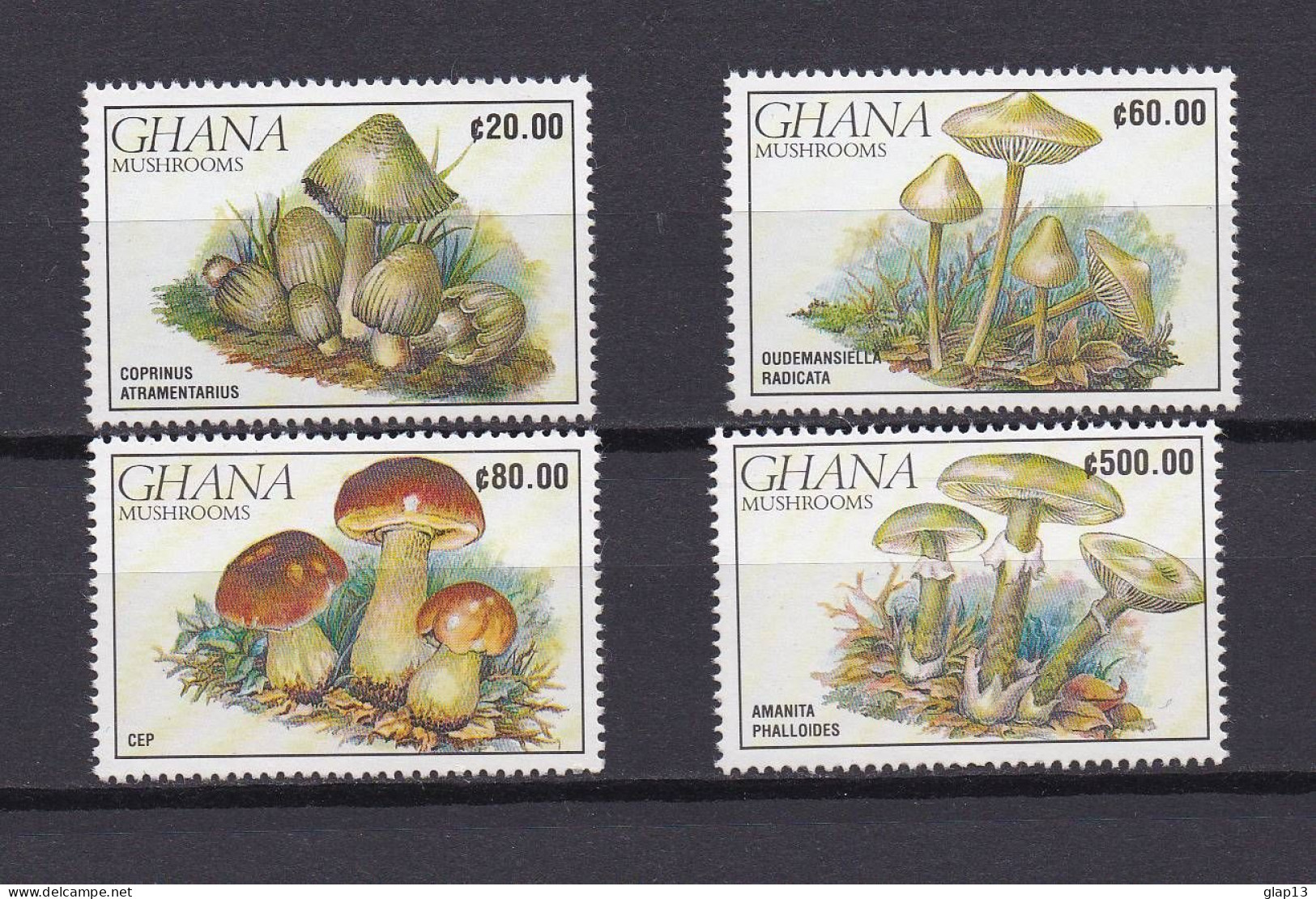 GABON 1991 TIMBRE N°1182/85 NEUF** CHAMPIGNONS - Ghana (1957-...)