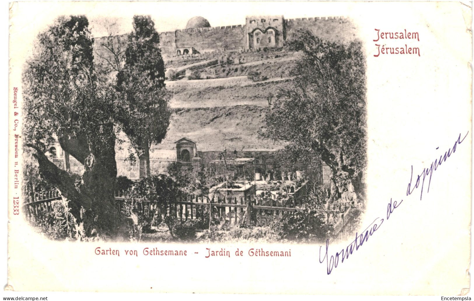 CPA Carte Postale Israël Jérusalem Jardin De Géthsemani 1900 VM79006ok - Israele