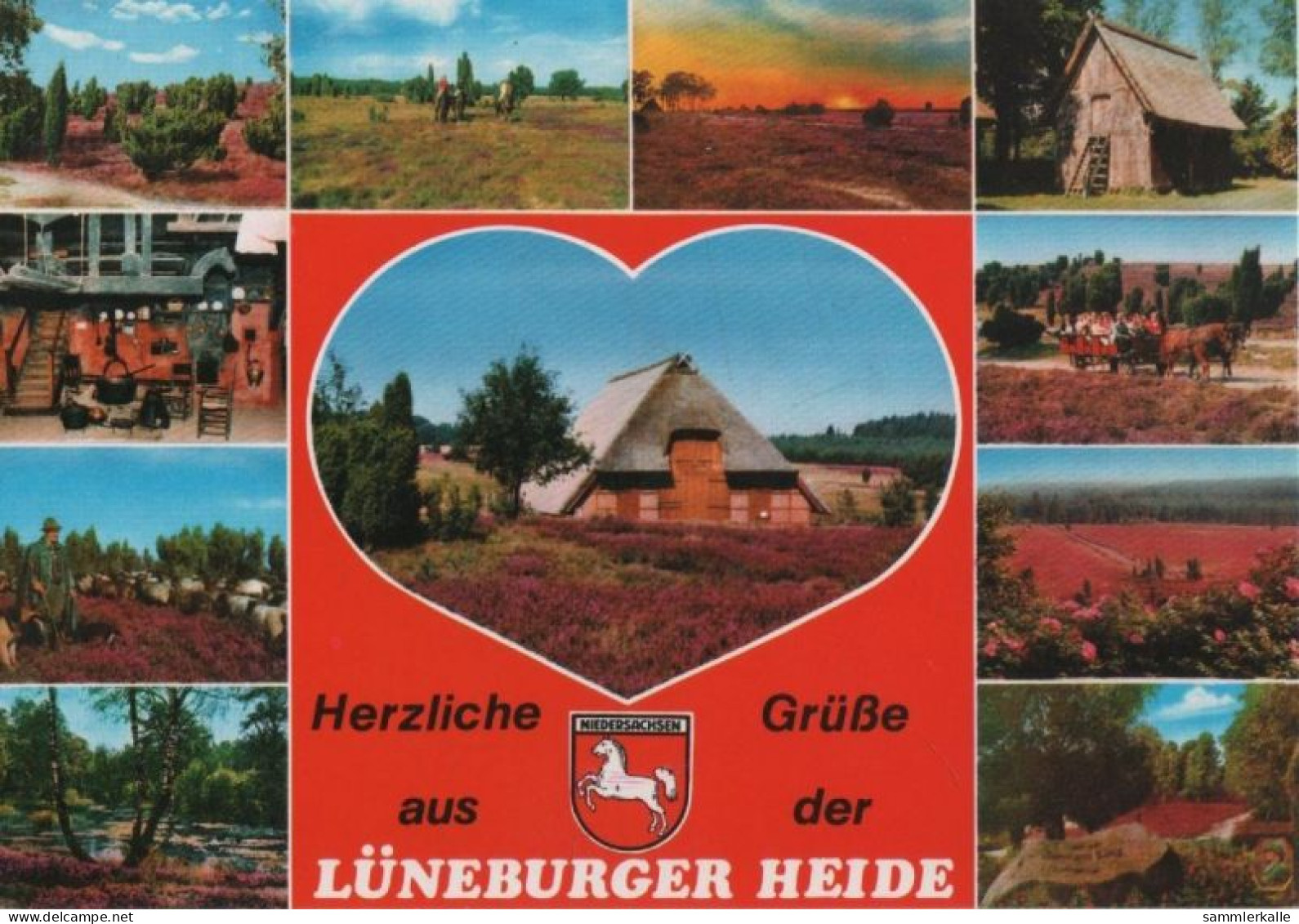 103833 - Lüneburger Heide - 1997 - Lüneburger Heide