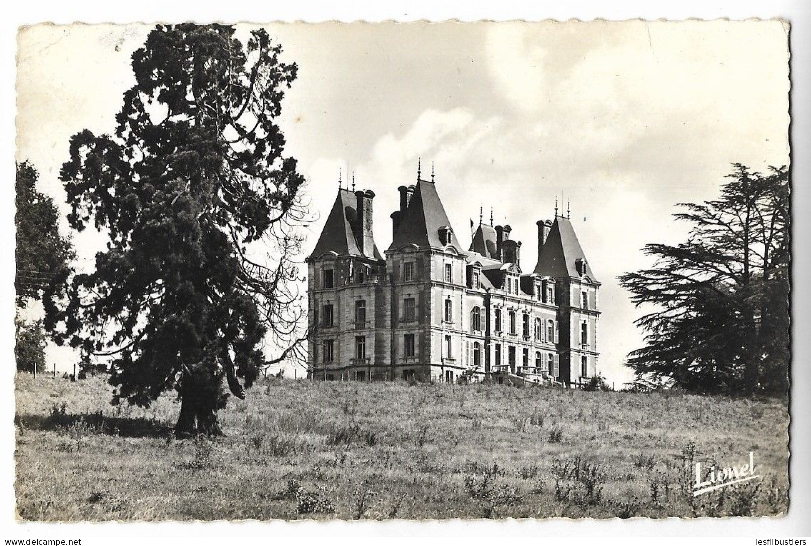 CPSM 49 TIERCE Château De La Besnerie - Colonie De Vacances D' Argenteuil - Tierce