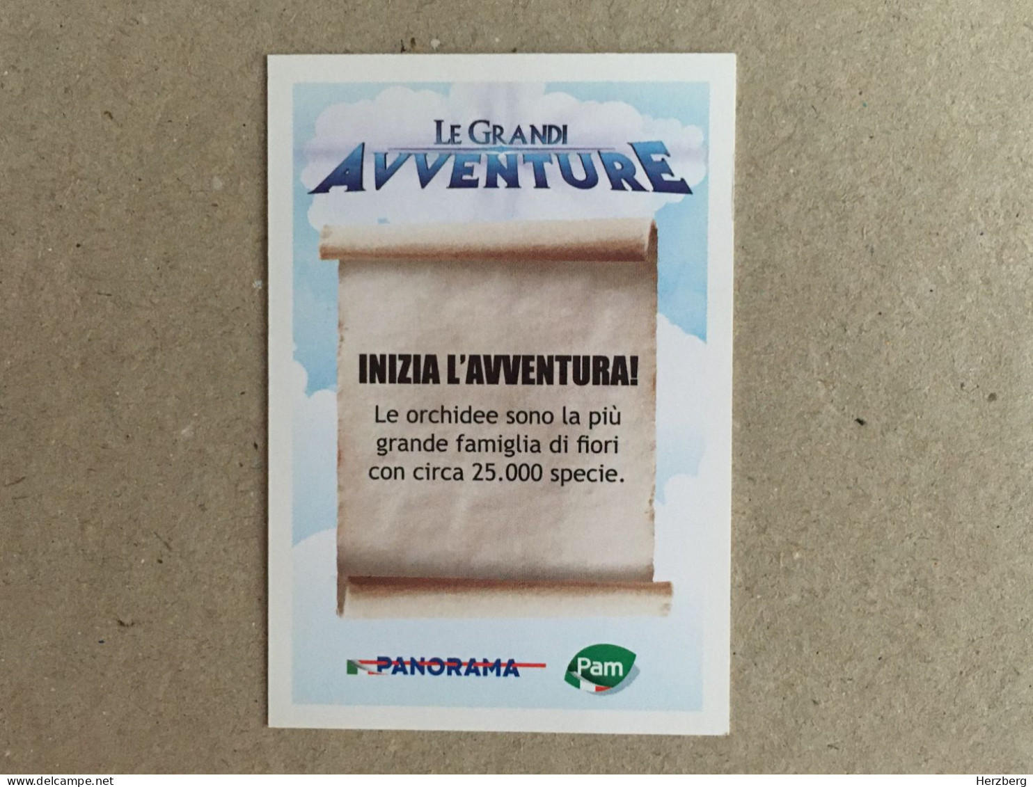 Italia Italy - Shrek - Le Grandi Avventure - Panorama Italy Edition - Dreamworks Pictures 2014 - Collection Trading Card - Otros & Sin Clasificación