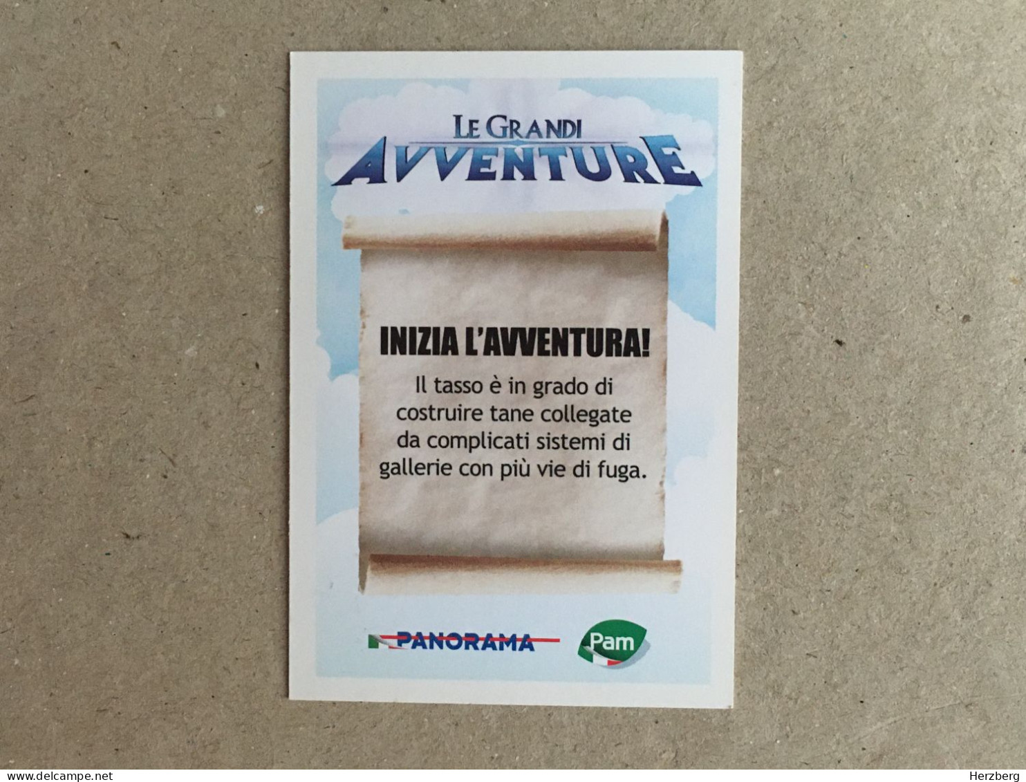 Italia Italy - Shrek - Le Grandi Avventure - Panorama Italy Edition - Dreamworks Pictures 2014 - Collection Trading Card - Otros & Sin Clasificación