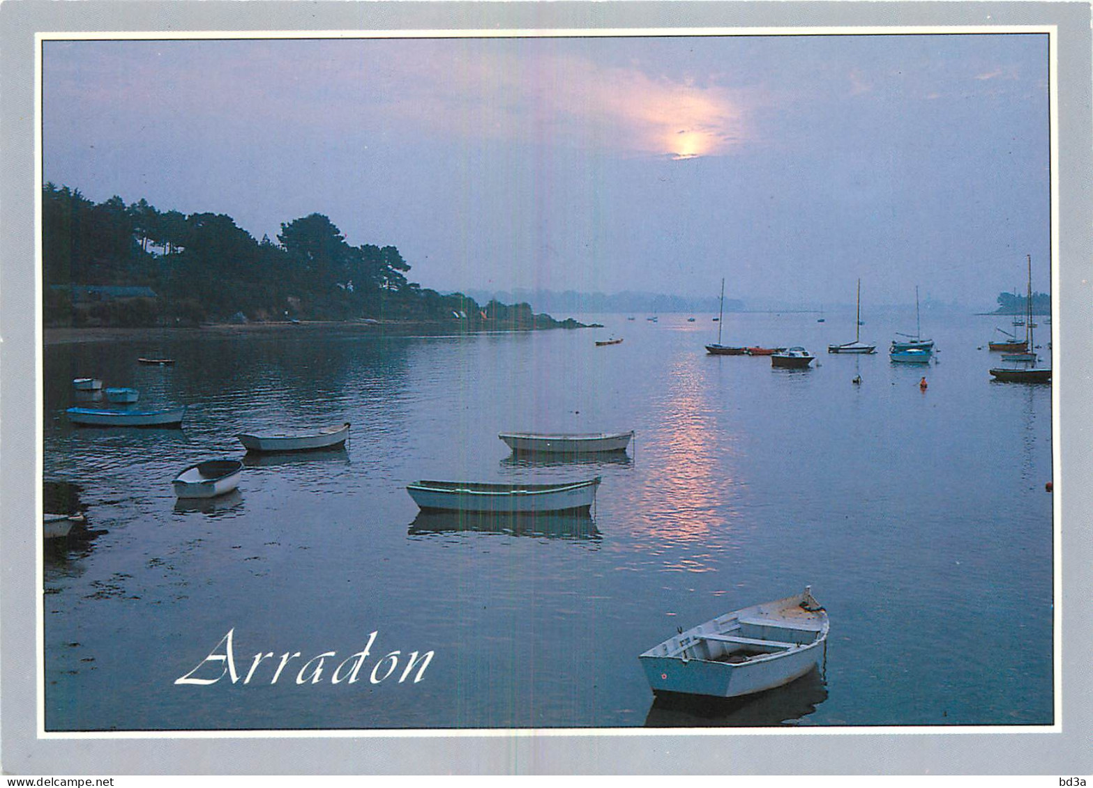 56 - ARRADON - Arradon