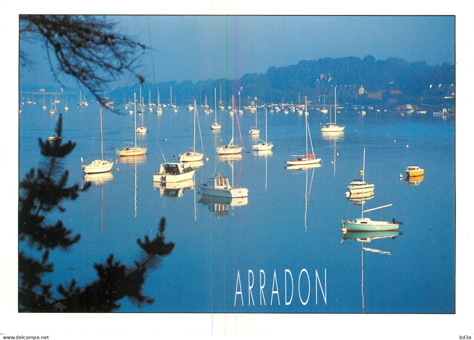 56 - ARRADON - Arradon