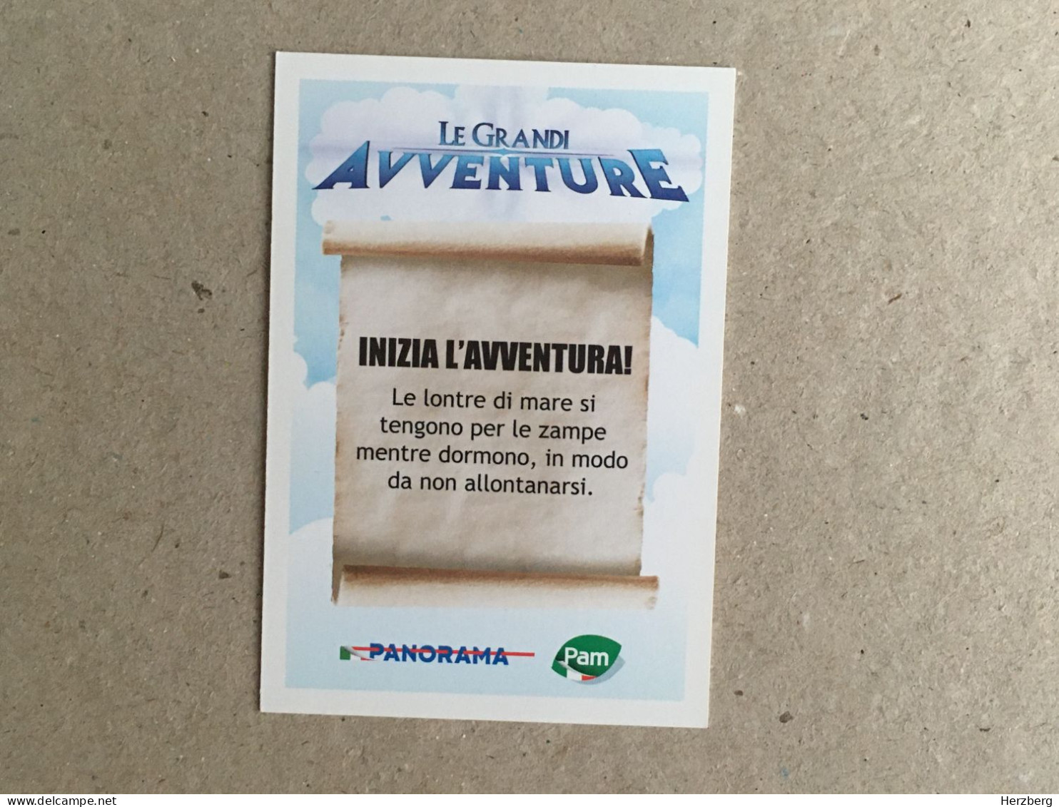 Italia - Madagascar - Le Grandi Avventure - Panorama Italy Edition - Dreamworks Pictures 2014 - Collection Trading Card - Other & Unclassified