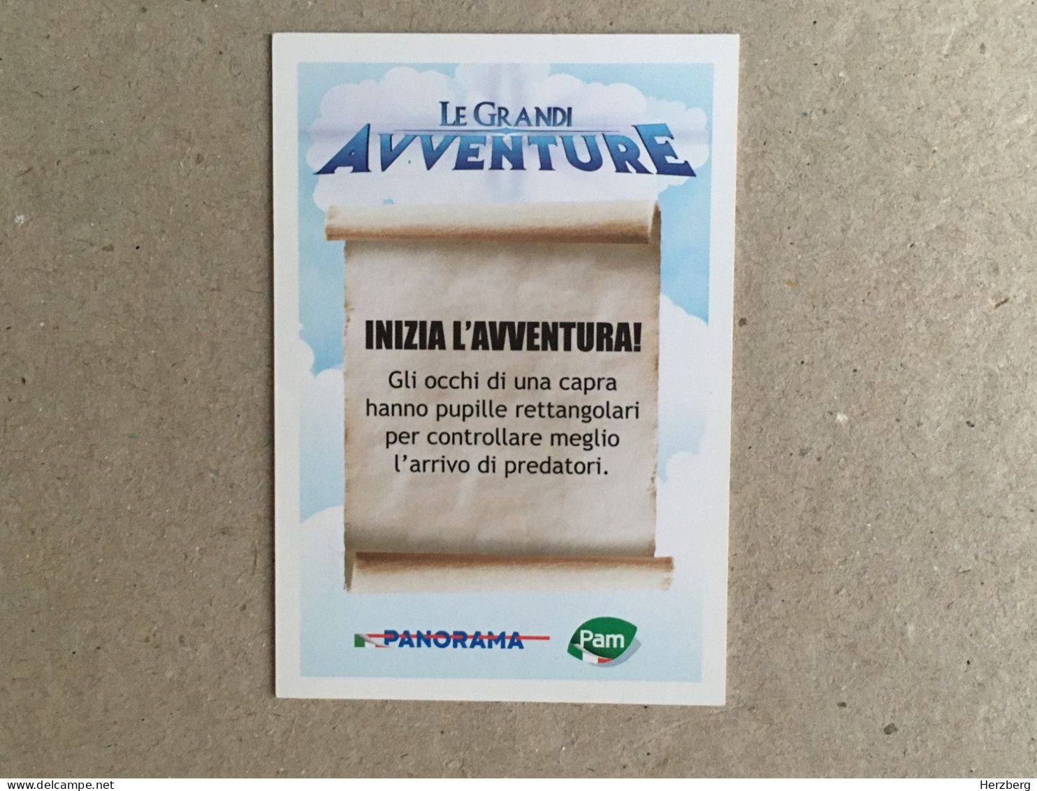 Italia - Madagascar - Le Grandi Avventure - Panorama Italy Edition - Dreamworks Pictures 2014 - Collection Trading Card - Other & Unclassified