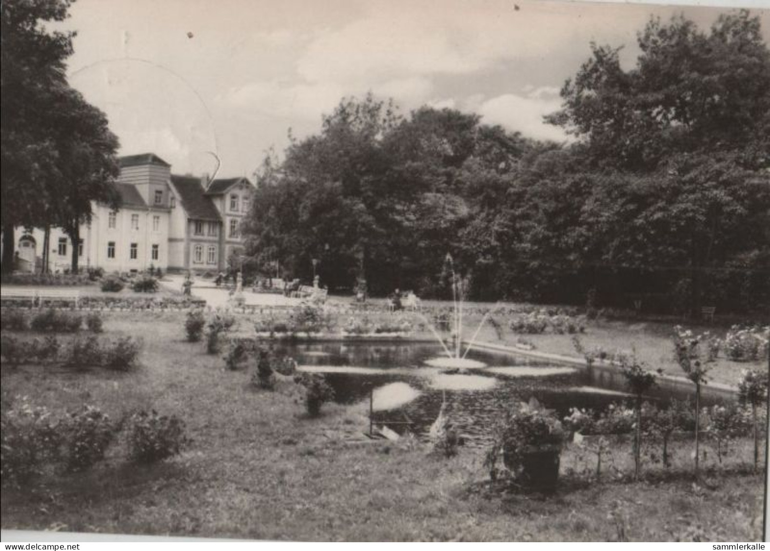 81328 - Pretzsch (Elbe) - Kurpark, Froschteich - 1969 - Bad Schmiedeberg