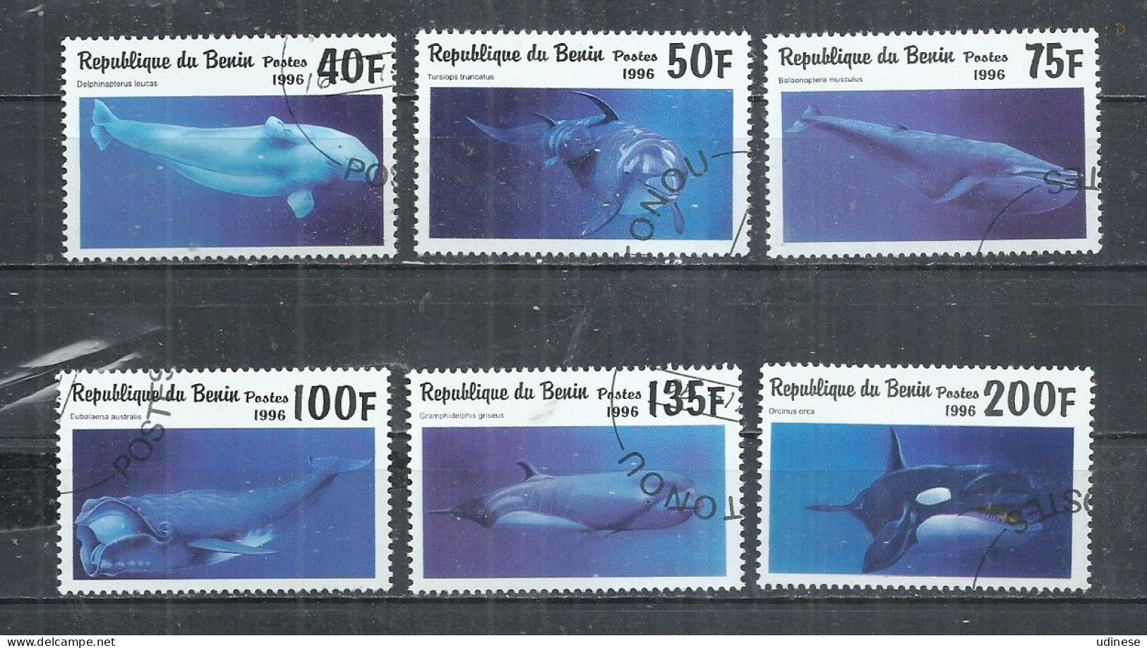 BENIN 1996 - SEA MAMMALS - CPL. SET - USED OBLITERE GESTEMPELT USADO - Sonstige & Ohne Zuordnung