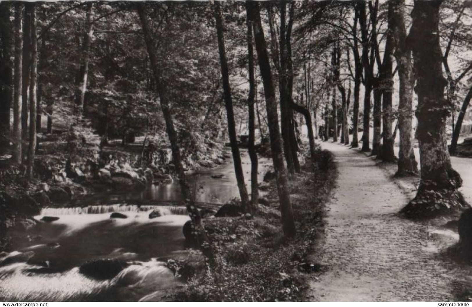 41697 - Bad Wildbad - An Der Enz - 1965 - Calw