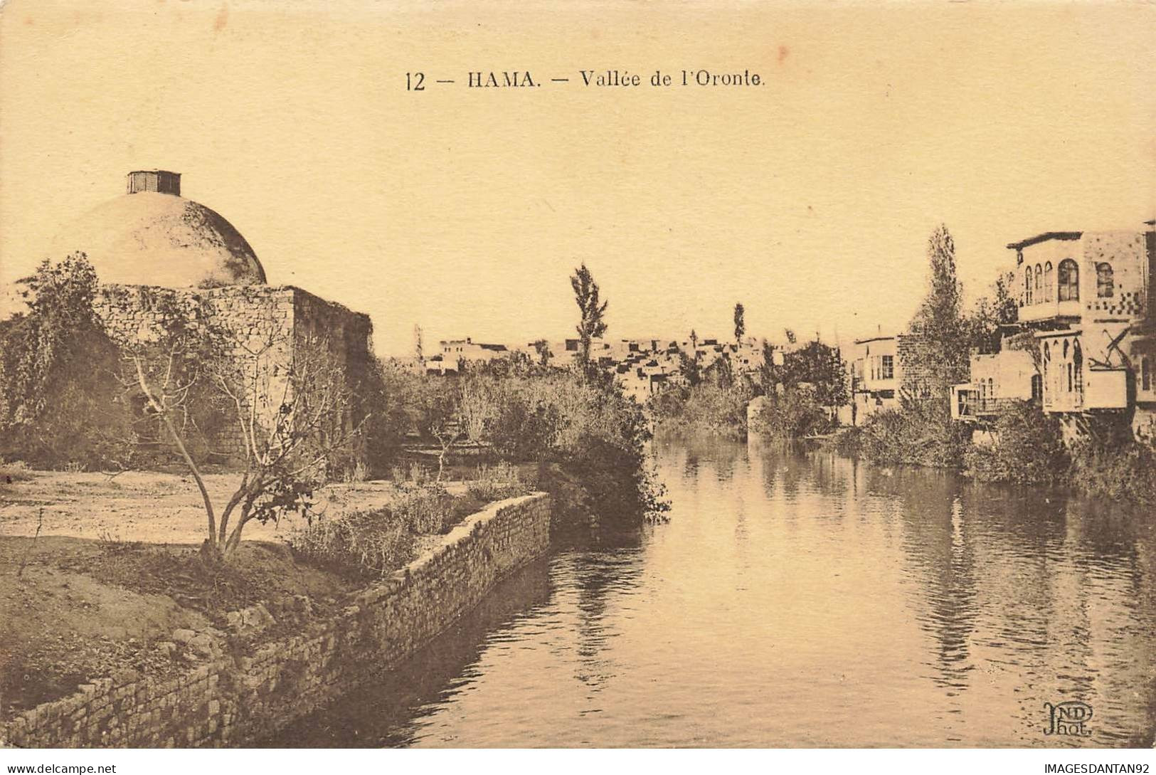 SYRIE SYRIA #32523 HAMA VALLEE DE L ORONTE - Syrie