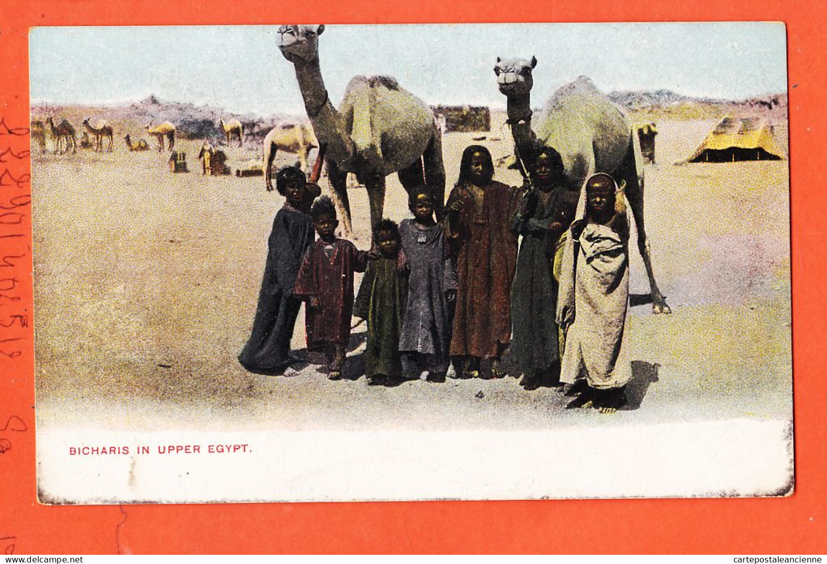 25994 / ⭐ LICHTENSTERN-HARARI L & H Cairo 75 ◉ Ethnic BICHARIS In Upper Egypt Tribu BISHARI Haute-Egypte 1900s - Personen