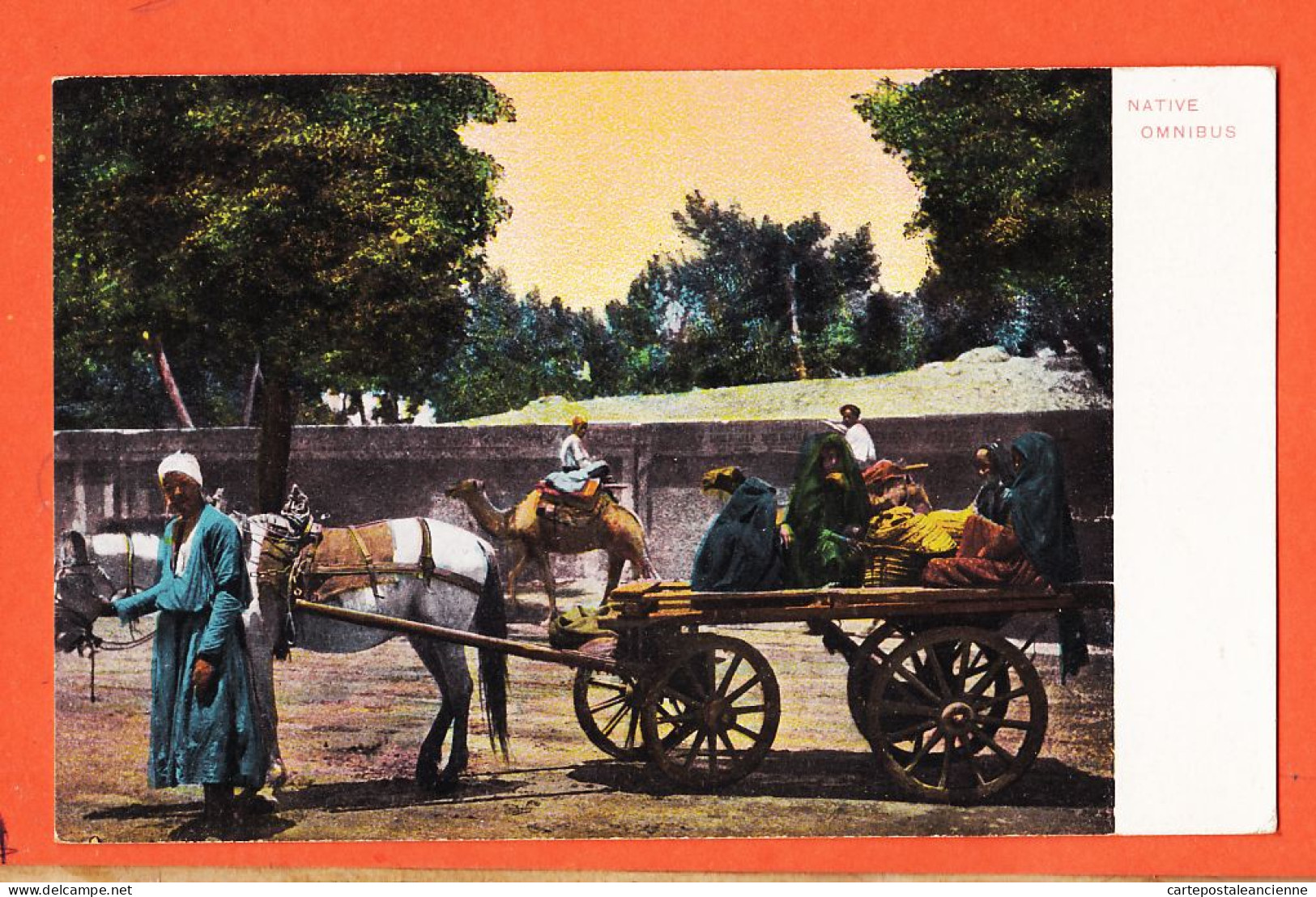 25991 / ⭐ ♥️ ◉ Etat Parfait ◉ Ethnic Egypt ◉ Native Omnibus Attelage Cheval 1905s ◉ LICHTENSTERN-HARARI 69 CAIRO Egypte - Personnes