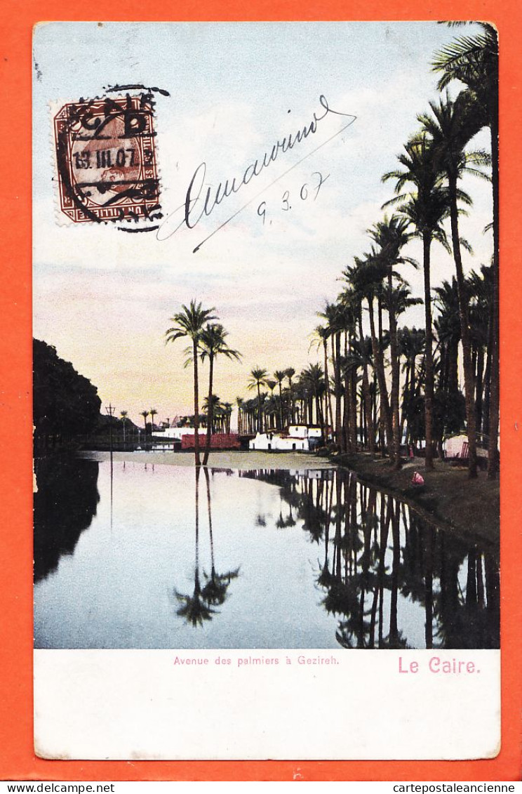 25751 / ⭐ ◉ GEZIREH  LE CAIRE Egypte ◉ Avenue Des Palmiers Cairo 1907 ◉ Au Cartosport Max RUDMANN N° 258 - Kairo
