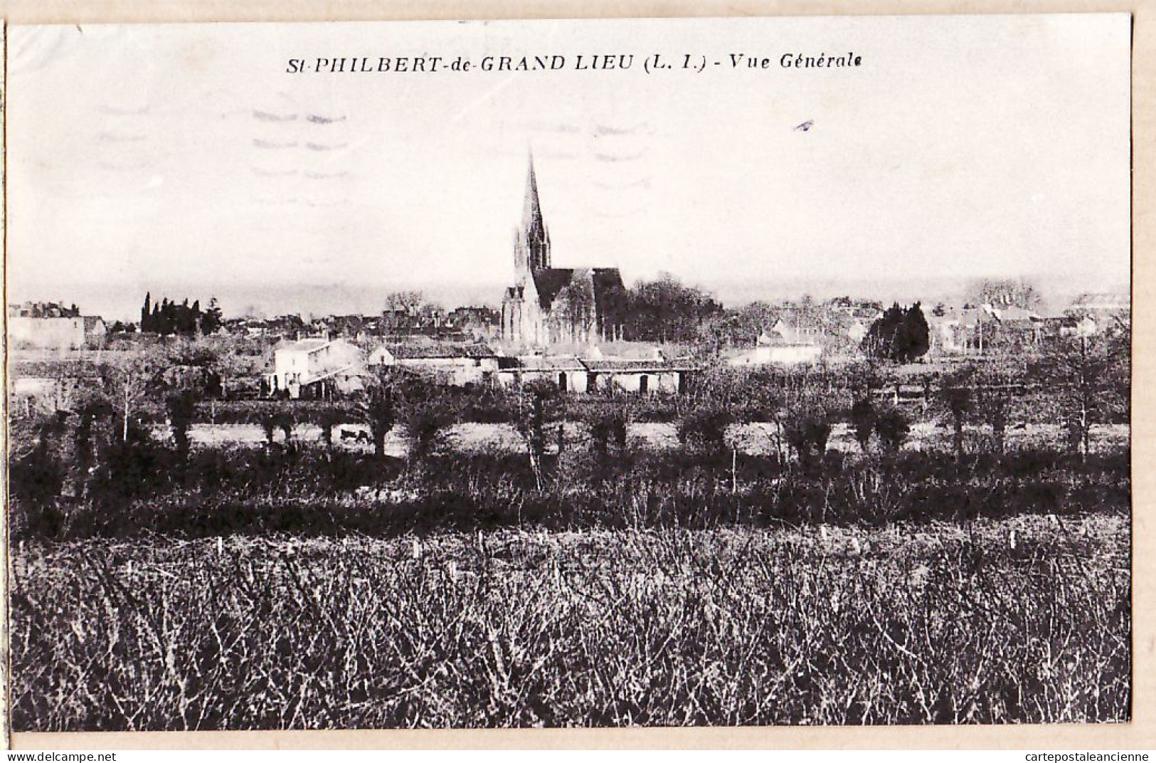 25667 / SAINT-PHILBERT De GRAND-LIEU Vue Générale 20-06-1946 à Nicole THEBAUD Boulevard Raimbaldi Nice - Saint-Philbert-de-Grand-Lieu