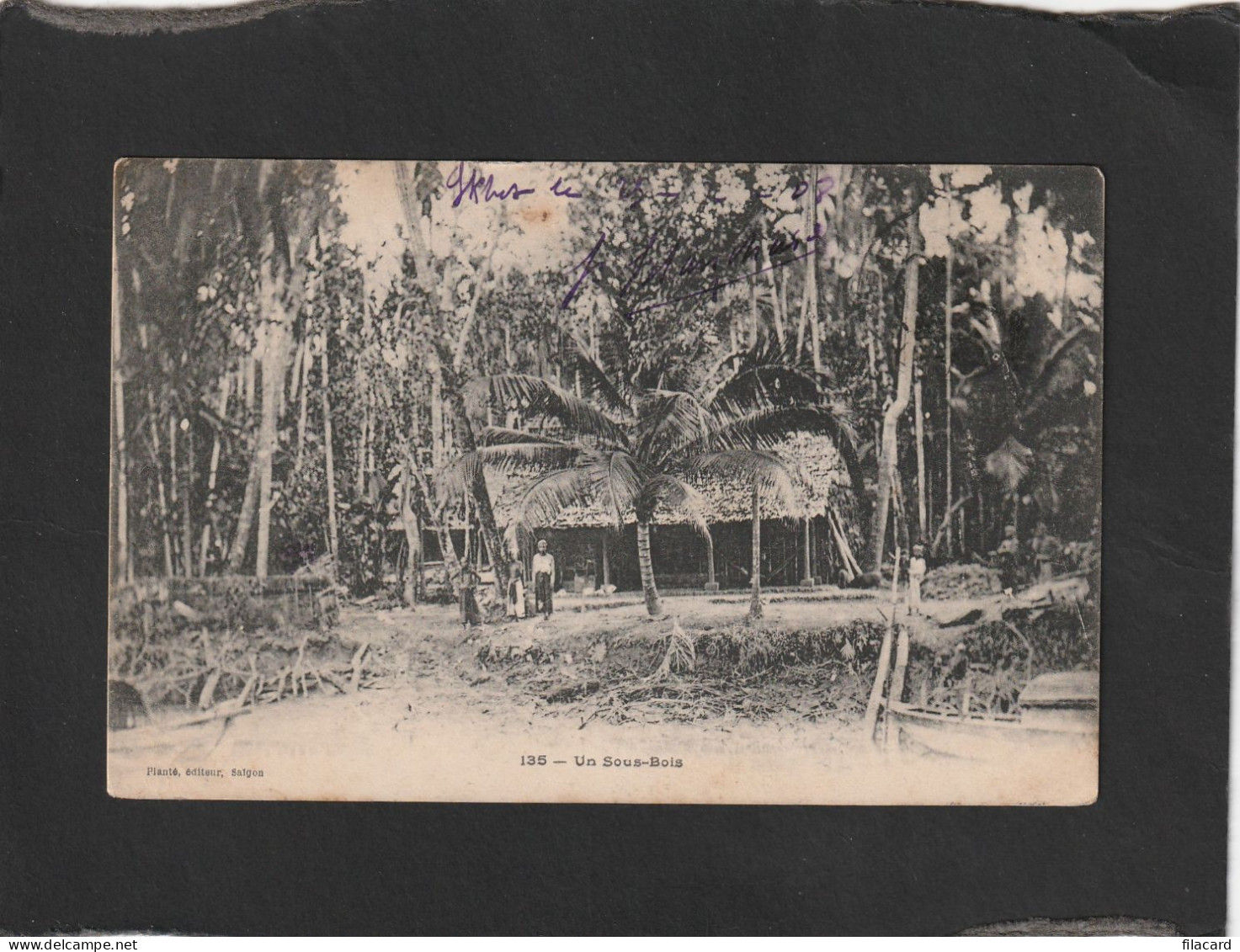 128150          Vietnam,    Un  Sous-Bois,   VGSB - Vietnam