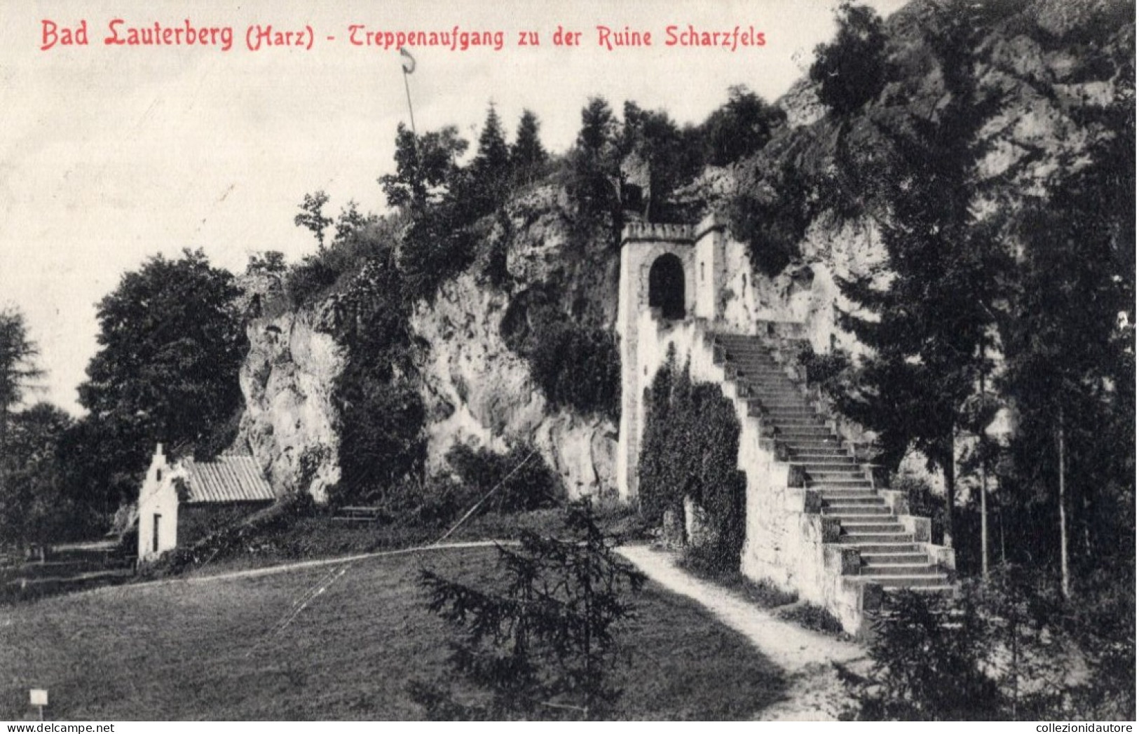 BAD LAUTERBERG - HARZ - TREPPENAUFGANG ZU DER RUINE SCHARZFELS - CARTOLINA FP NON UTILIZZATA - Bad Lauterberg