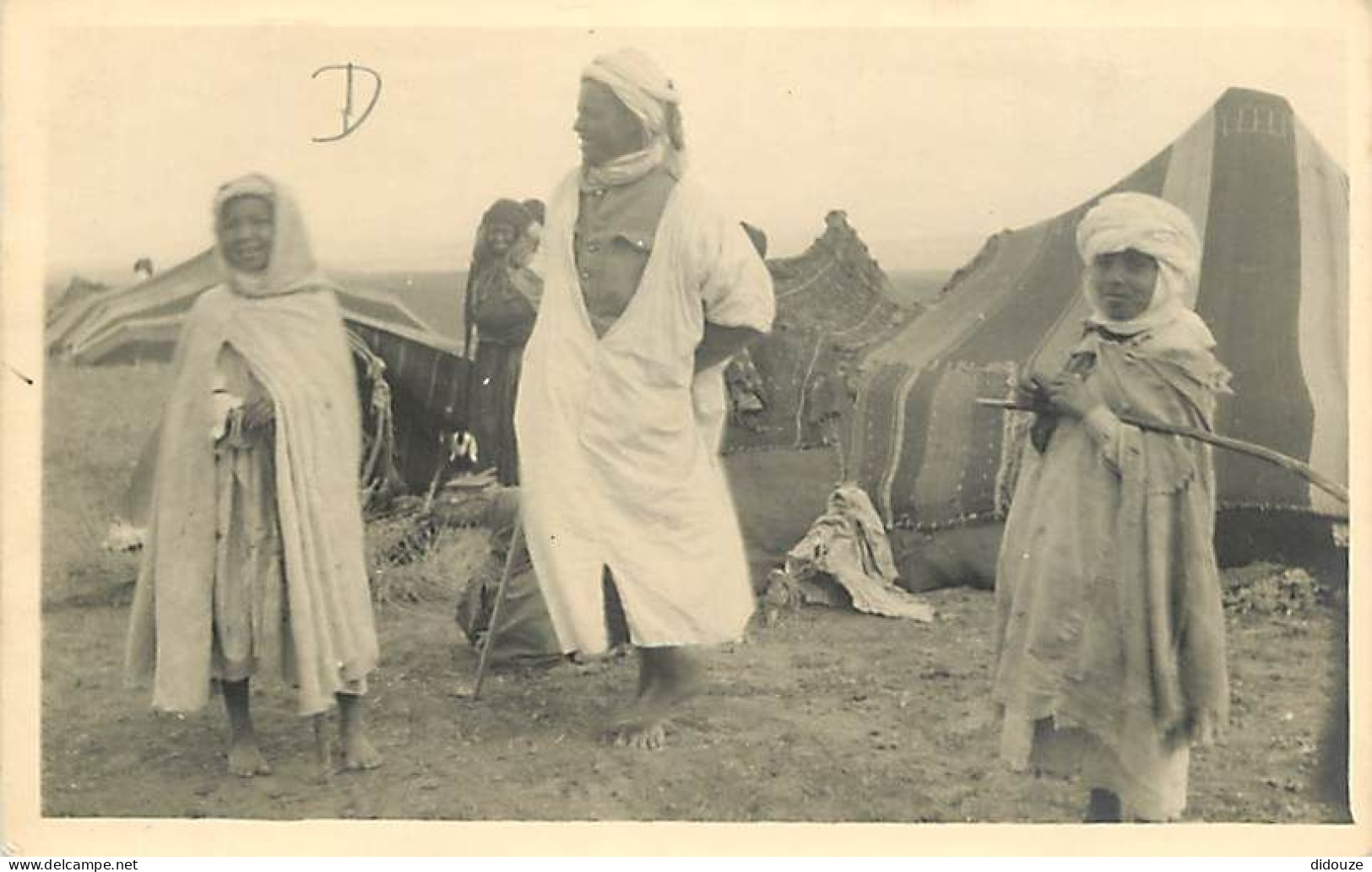 Algérie - Batna - Campement D'une Famille Arabe De La Région De Batna - Animée - Carte Photo - CPA - Voir Scans Recto-Ve - Batna