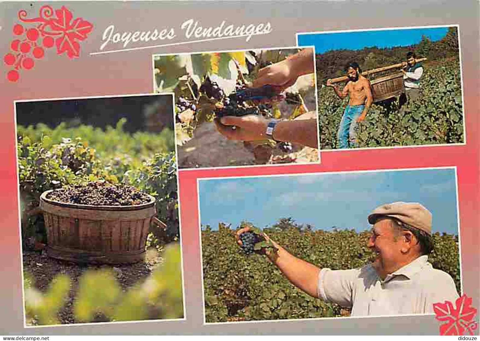 Vignes - Le Vignoble Beaujolais - Vendanges - Multivues - CPM - Voir Scans Recto-Verso - Vignes