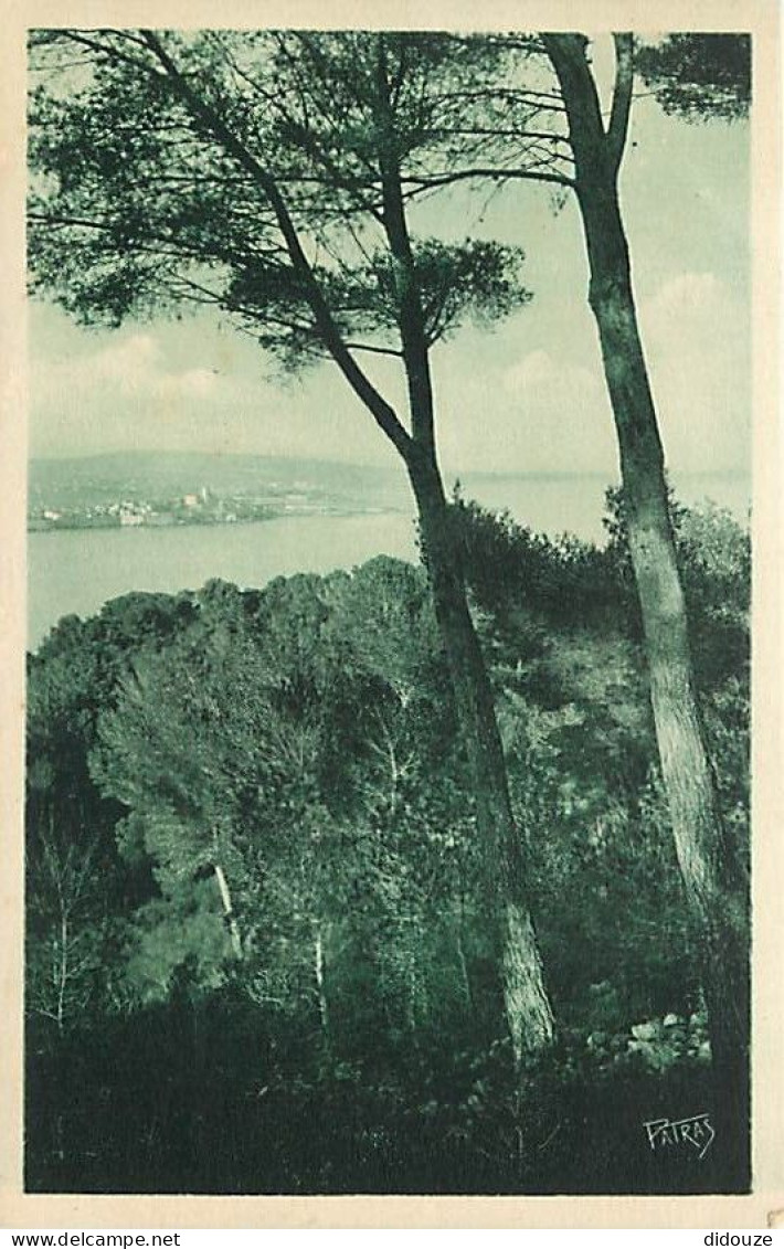 06 - Antibes - Les Remparts - Les Vieux Remparts Vus Du Cap - CPA - Carte Neuve - Voir Scans Recto-Verso - Antibes - Les Remparts