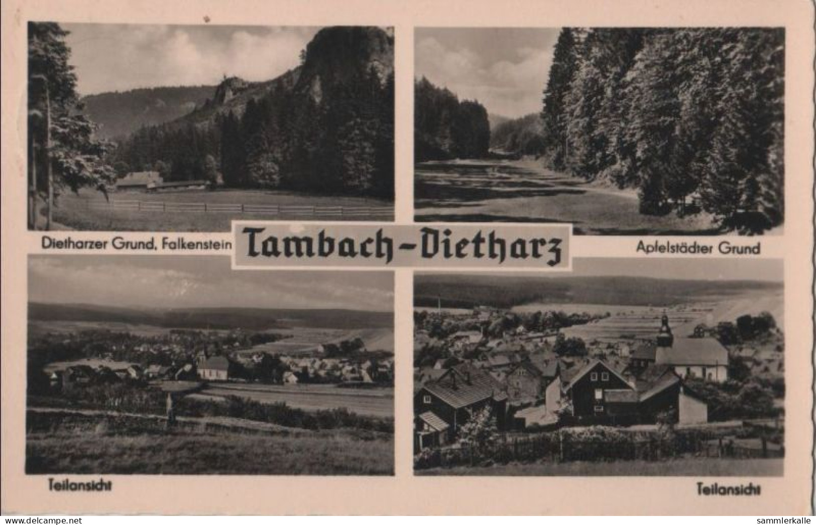 73332 - Tambach-Dietharz - U.a. Dietharzer Grund - 1959 - Tambach-Dietharz