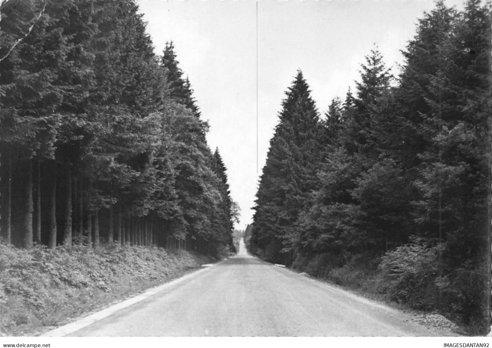 BELGIQUE #MK35465 BERTRIX AU COEUR DE LA FORET ARDENNAISE - Bertrix