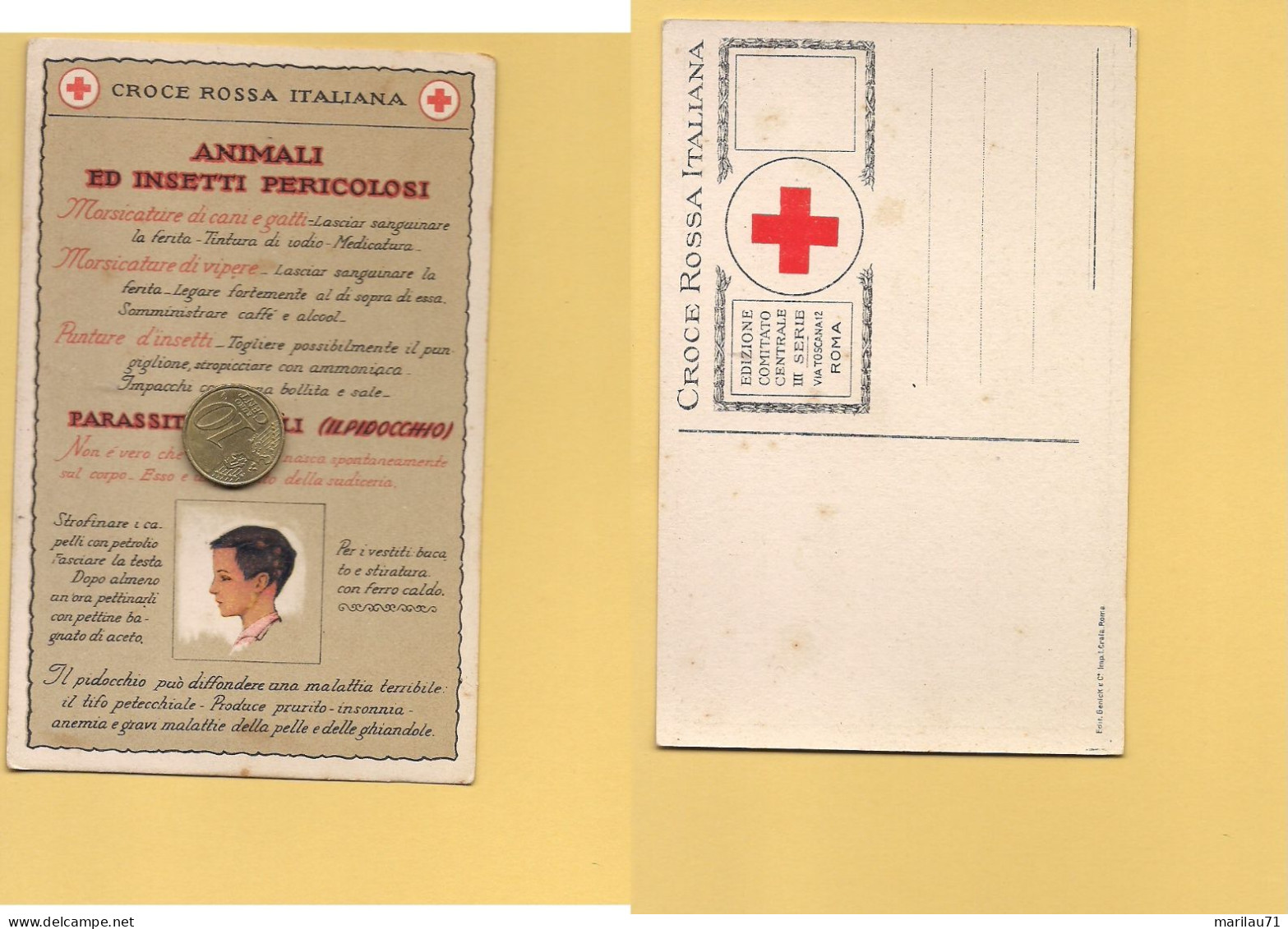 P3574 CROCE ROSSA ITALIANA III SERIE ANIMALI ED INSETTI PERICOLOSI ANNI '30 - Red Cross