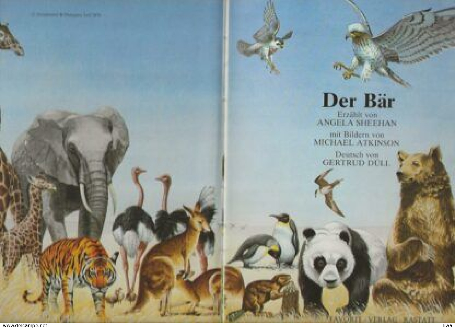 Der Bär – Angela Sheehan - Animali