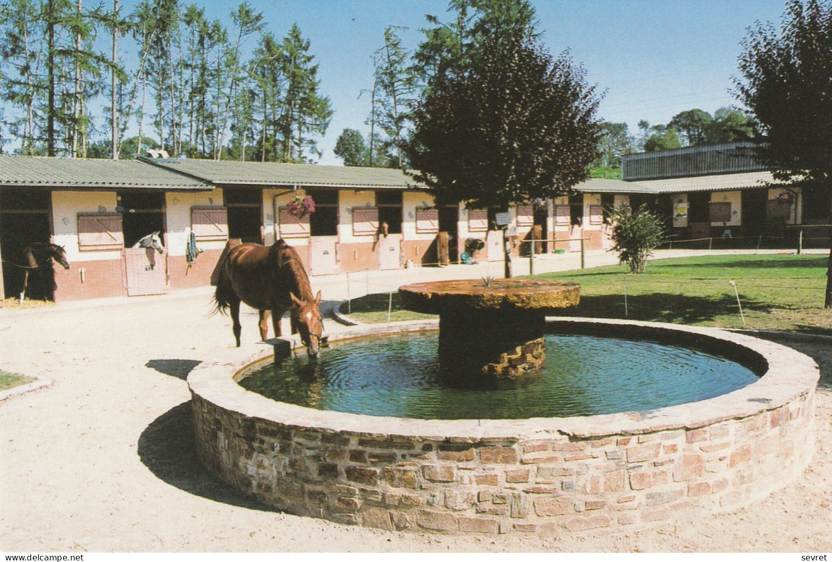 AMBAZAC.- Centre De Loisirs De Muret. Le Centre Equestre.  CPM - Ambazac