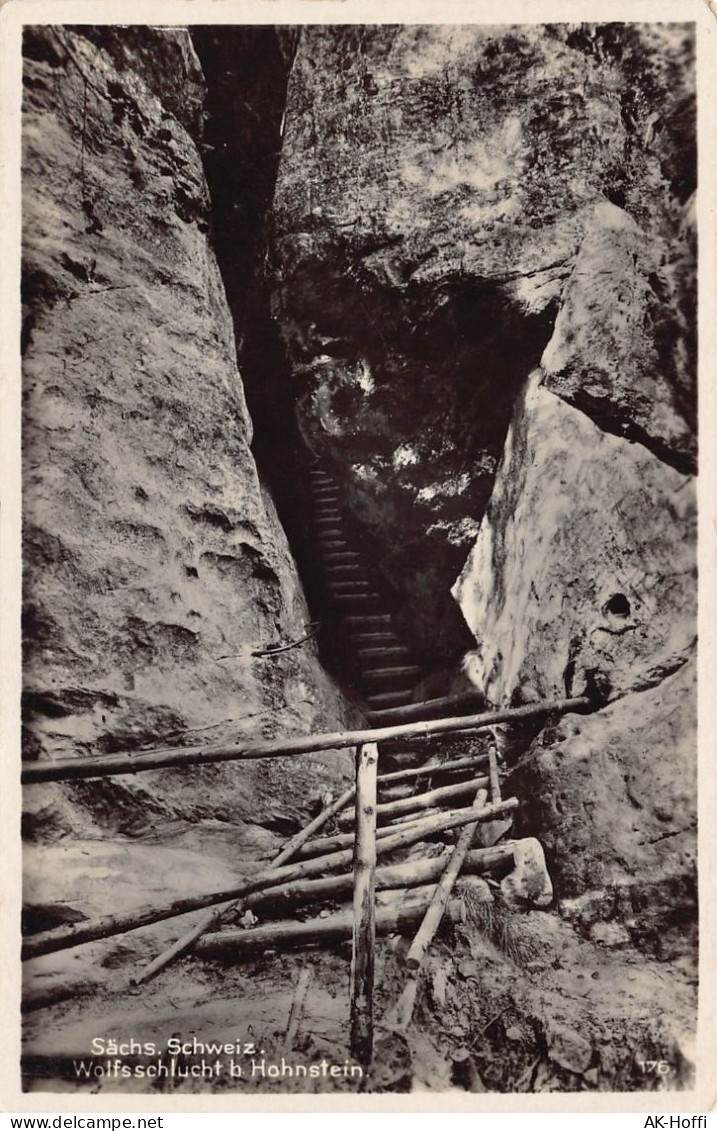 Sächs. Schweiz - Wolfsschlucht Bei Hohnstein - Kunstverlag Wilh.Stein, Dresden. Seidnitzerstr. 26 - Hohenstein-Ernstthal