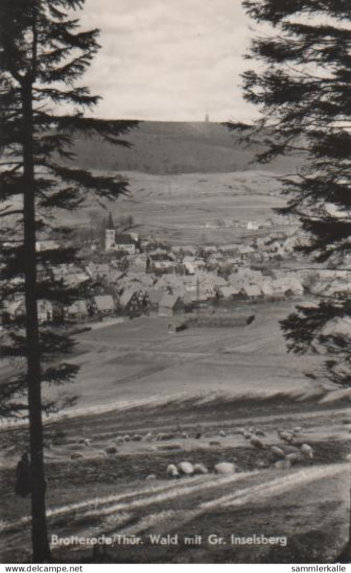 19981 - Brotterode M. Gr. Inselsberg - Ca. 1955 - Schmalkalden