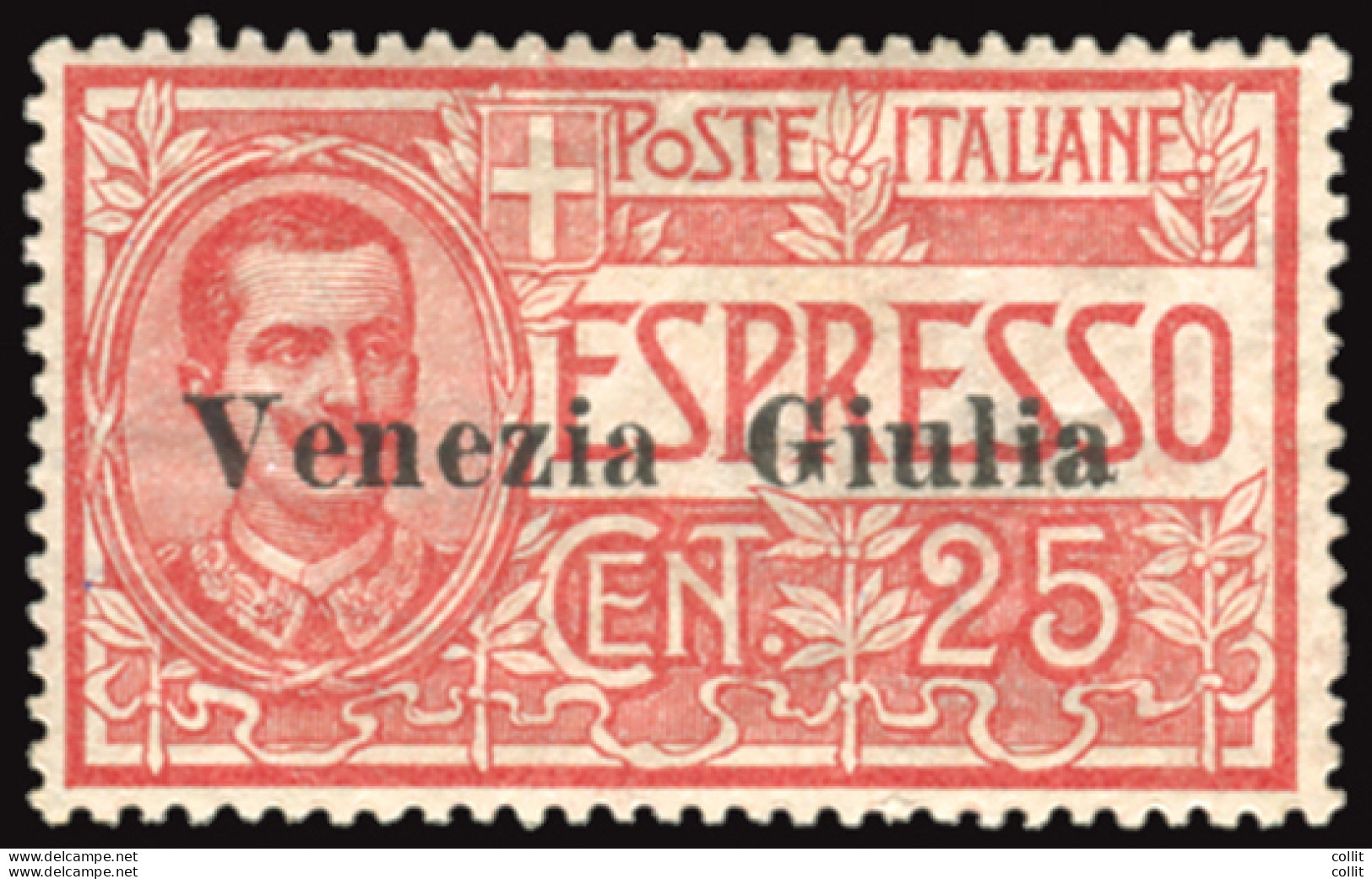 Venezia Giulia - Espresso Cent. 25 Ottimo Ben Centrato - Andere & Zonder Classificatie