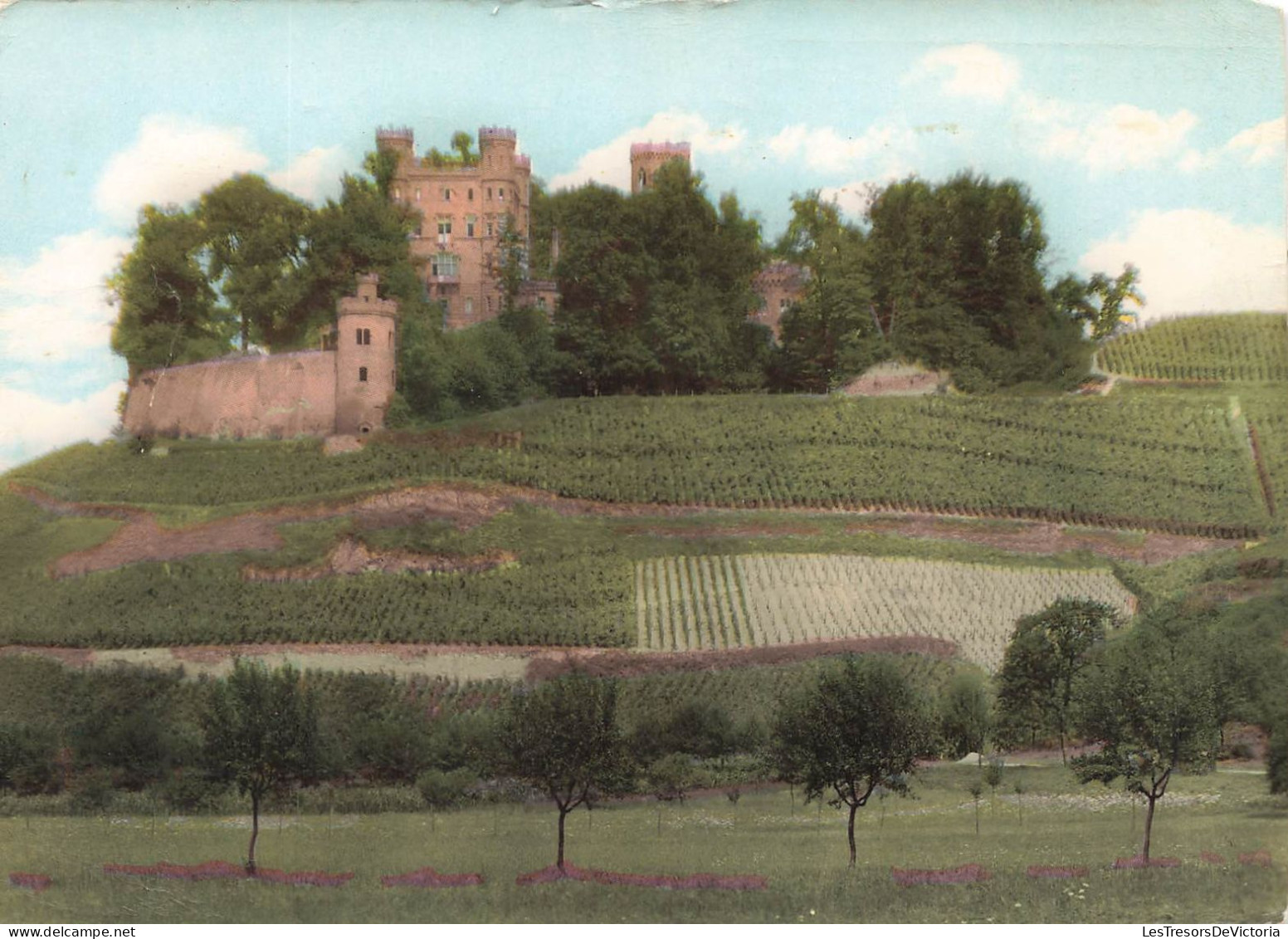 ALLEMAGNE - Offenburg - Château - Champs - Verger - Carte Postale Ancienne - Offenburg